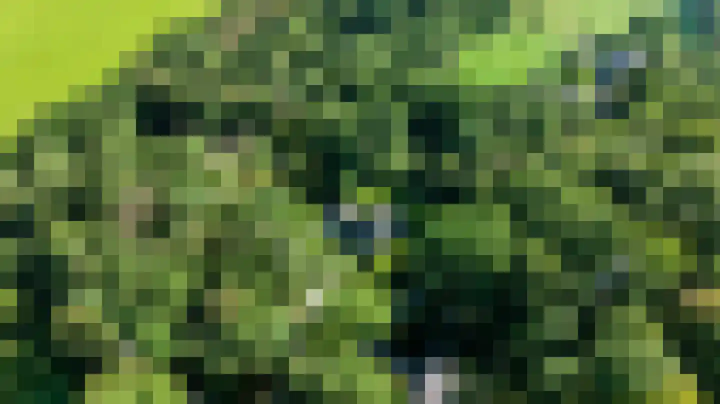 Driekieftenweg 5 Epse thumbnail 62