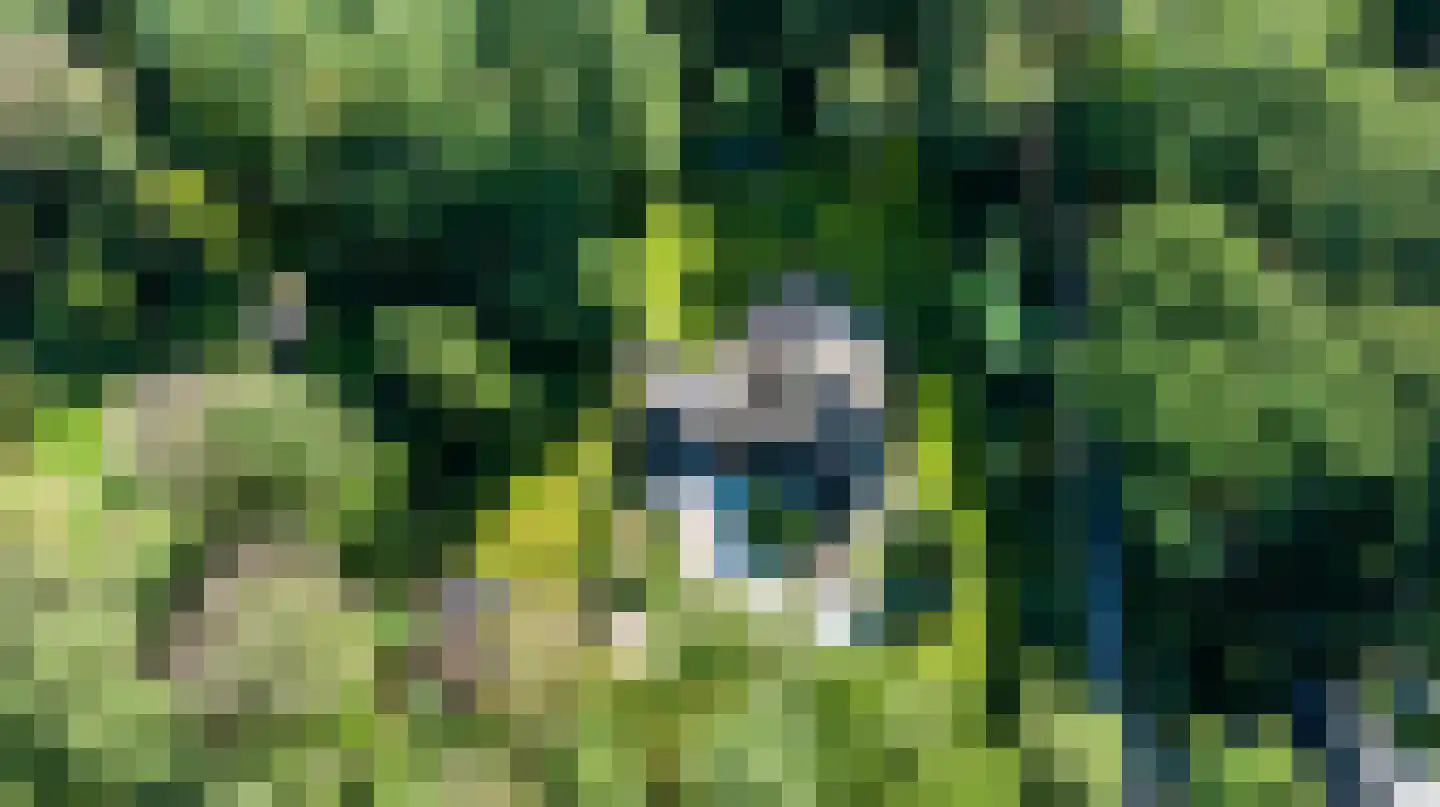 Driekieftenweg 5 Epse thumbnail 63