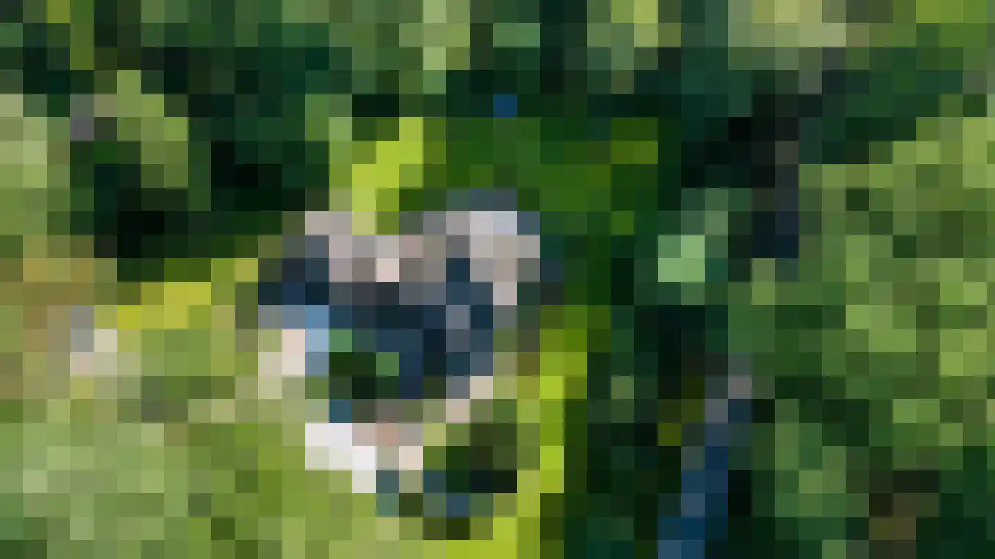 Driekieftenweg 5 Epse thumbnail 64