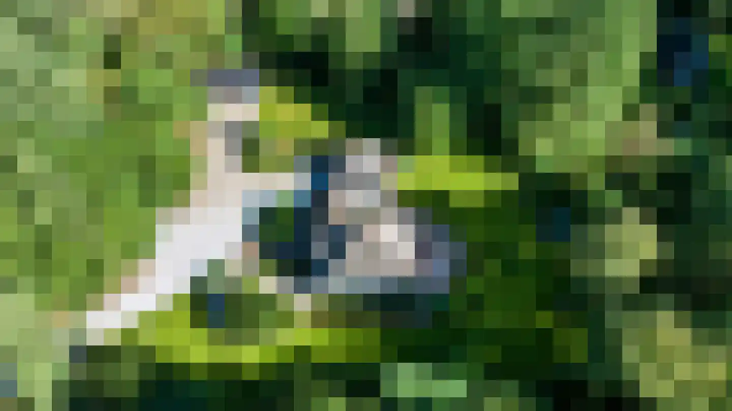 Driekieftenweg 5 Epse thumbnail 65