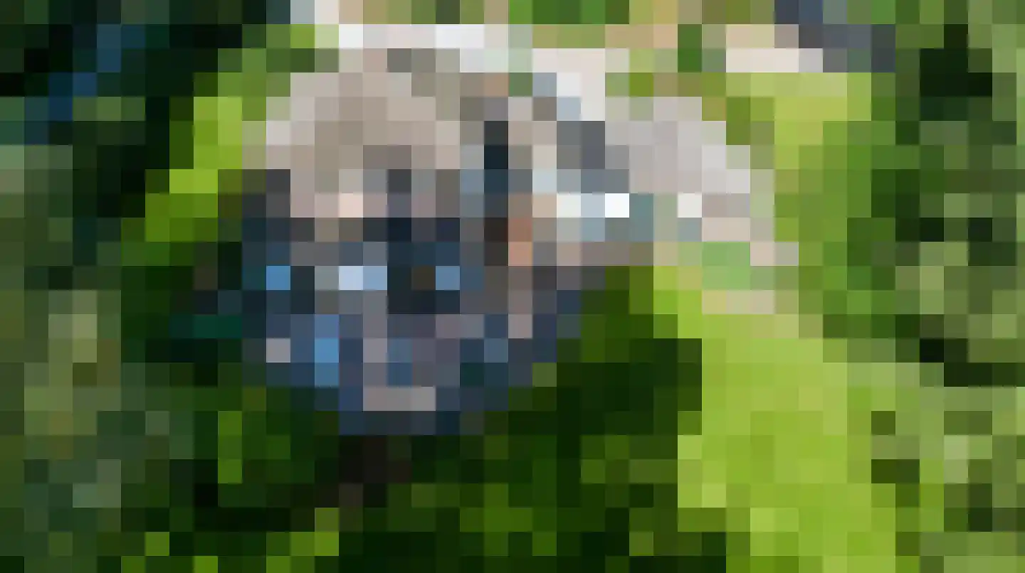 Driekieftenweg 5 Epse thumbnail 66