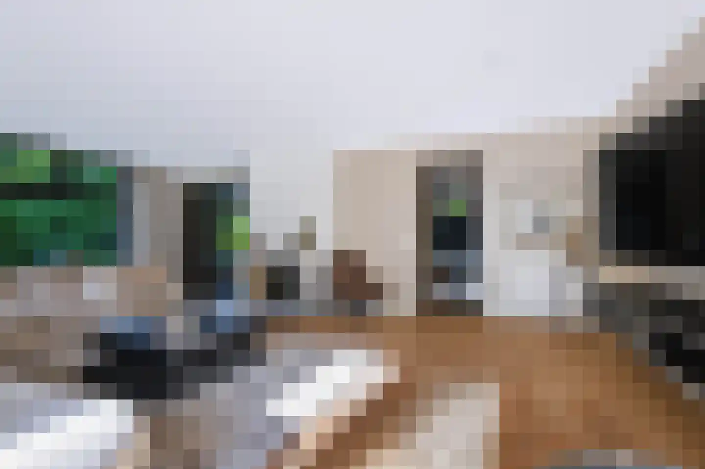 Driekieftenweg 5 Epse thumbnail 7
