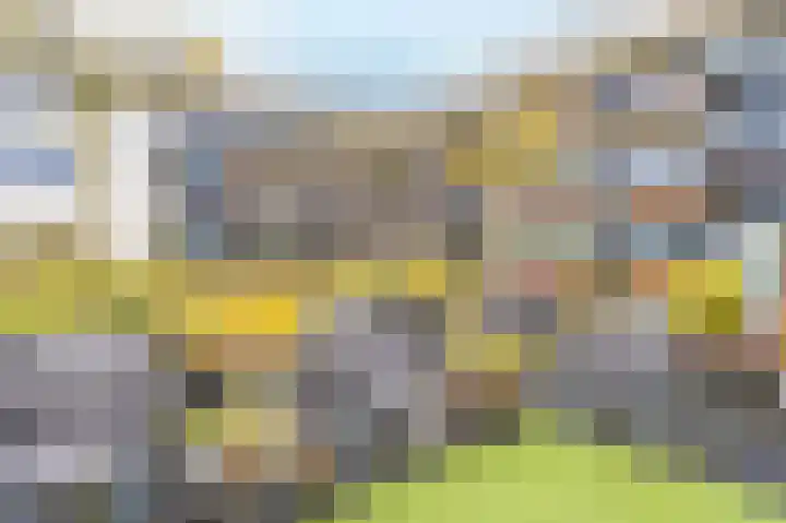 Driekoningendwarsstraat 1 6 Arnhem thumbnail 5