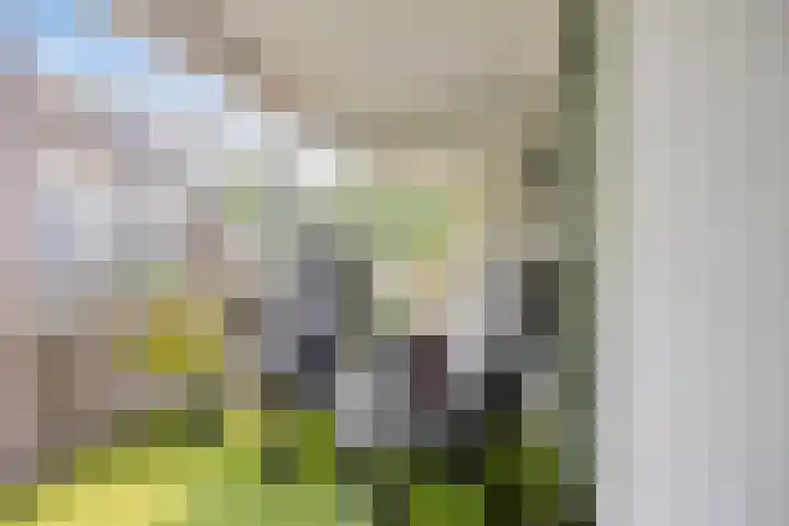 Driekoningendwarsstraat 31 Arnhem thumbnail 8