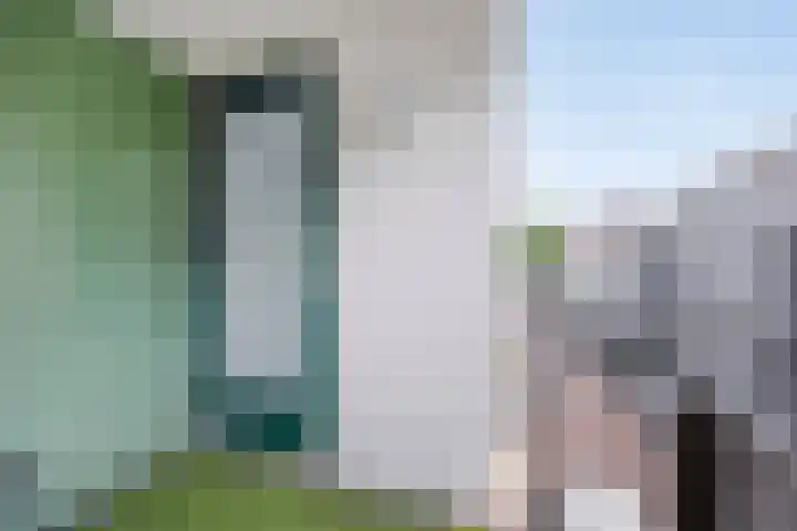 Driekoningendwarsstraat 31 Arnhem thumbnail 9