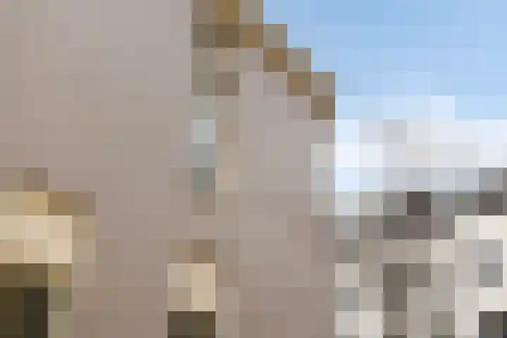 Driekoningendwarsstraat 60 2 Arnhem thumbnail 8
