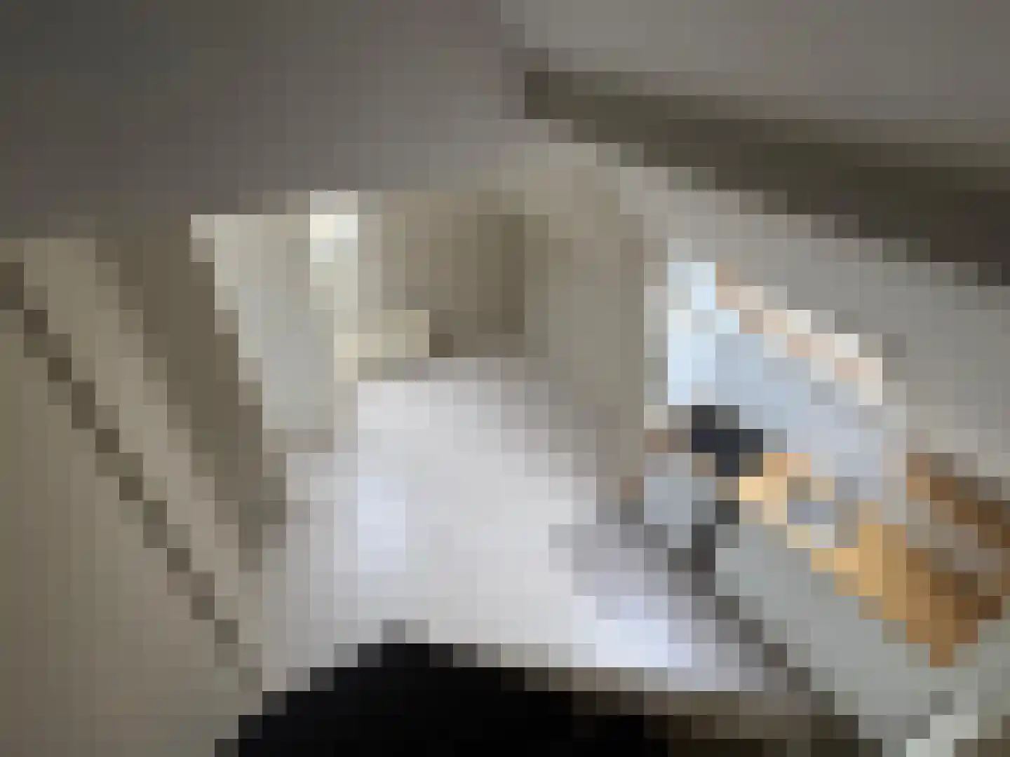 Driekoningendwarsstraat 60 6 Arnhem thumbnail 6