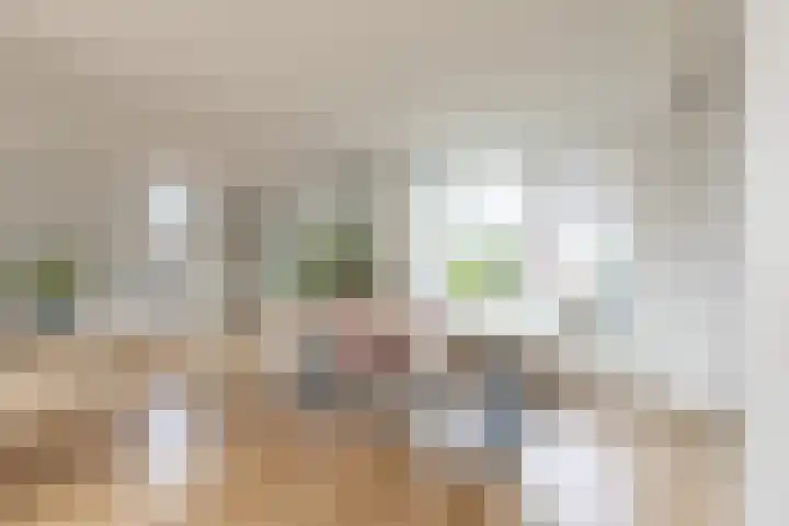 Driekoningenhof 24 De Rijp thumbnail 11