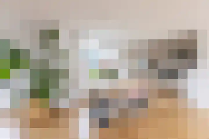 Driekoningenhof 24 De Rijp thumbnail 12