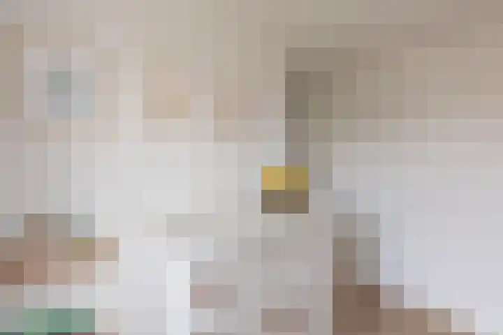 Driekoningenhof 24 De Rijp thumbnail 39