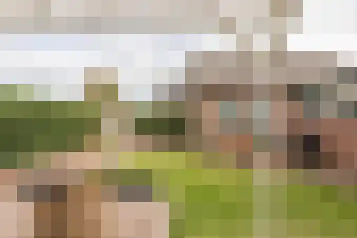 Driekoningenhof 24 De Rijp thumbnail 51