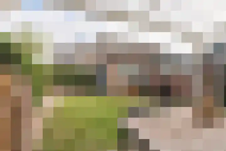 Driekoningenhof 24 De Rijp thumbnail 52
