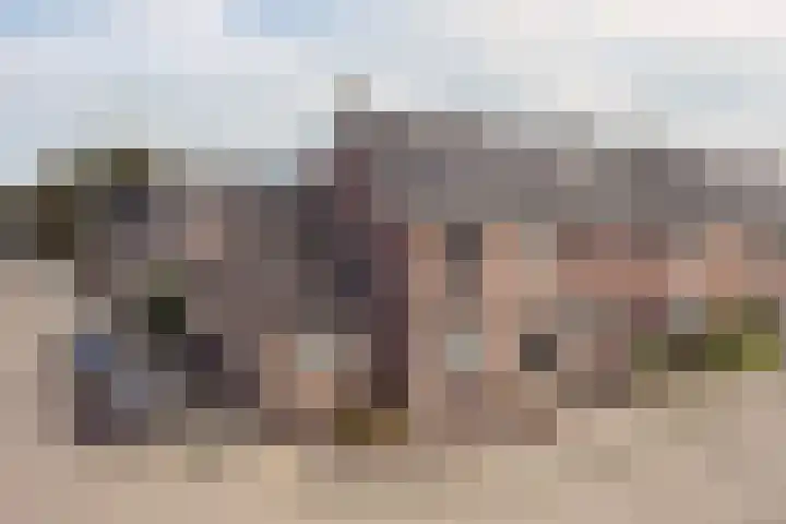 Driekoningenhof 24 De Rijp thumbnail 57