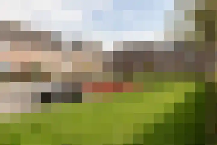 Driekoningenhof 24 De Rijp thumbnail 59