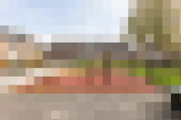 Driekoningenhof 24 De Rijp thumbnail 60