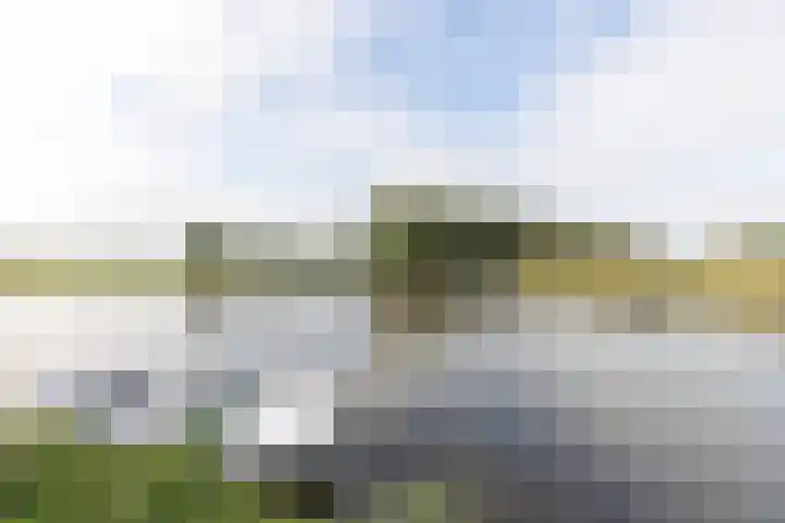 Driekoningenhof 24 De Rijp thumbnail 62