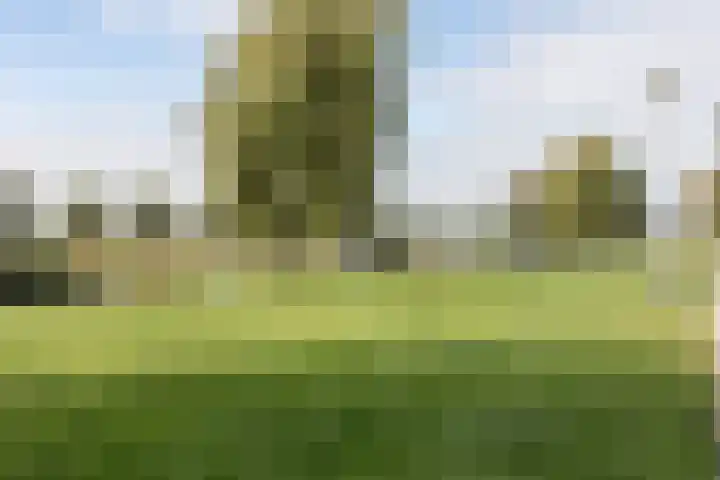 Driekoningenhof 24 De Rijp thumbnail 63