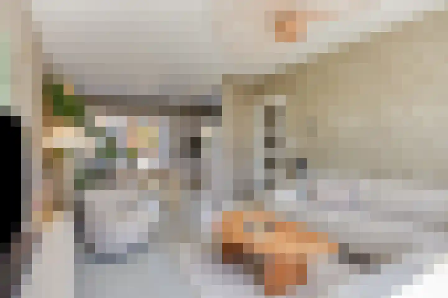 Driekoningenhof 26 De Rijp thumbnail 19