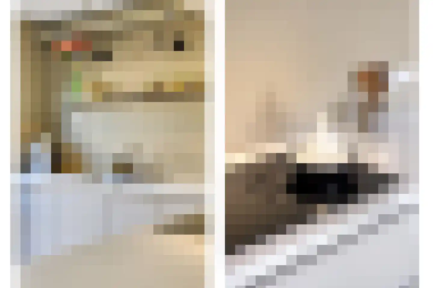 Driekoningenhof 26 De Rijp thumbnail 34