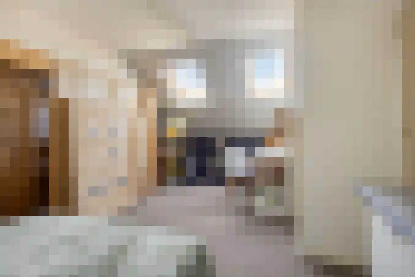 Driekoningenhof 26 De Rijp thumbnail 60