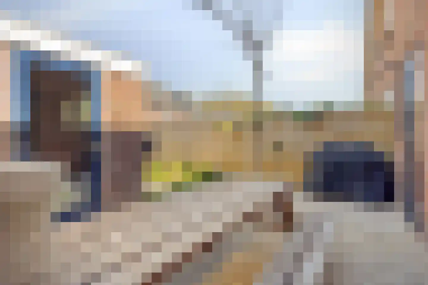 Driekoningenhof 26 De Rijp thumbnail 63