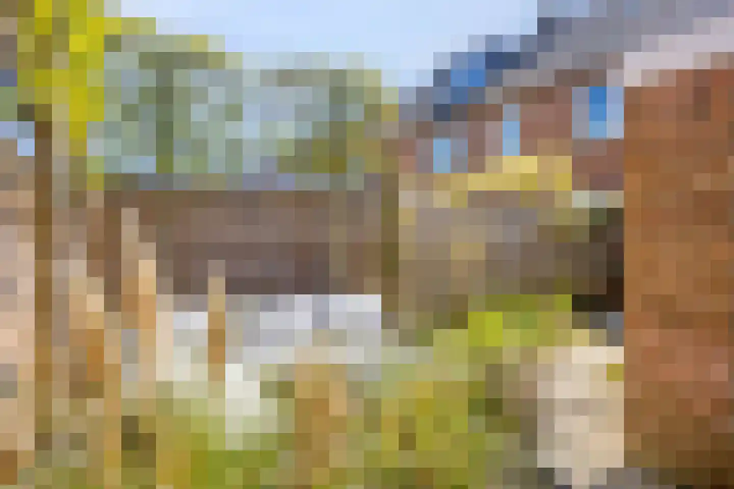 Driekoningenhof 26 De Rijp thumbnail 65