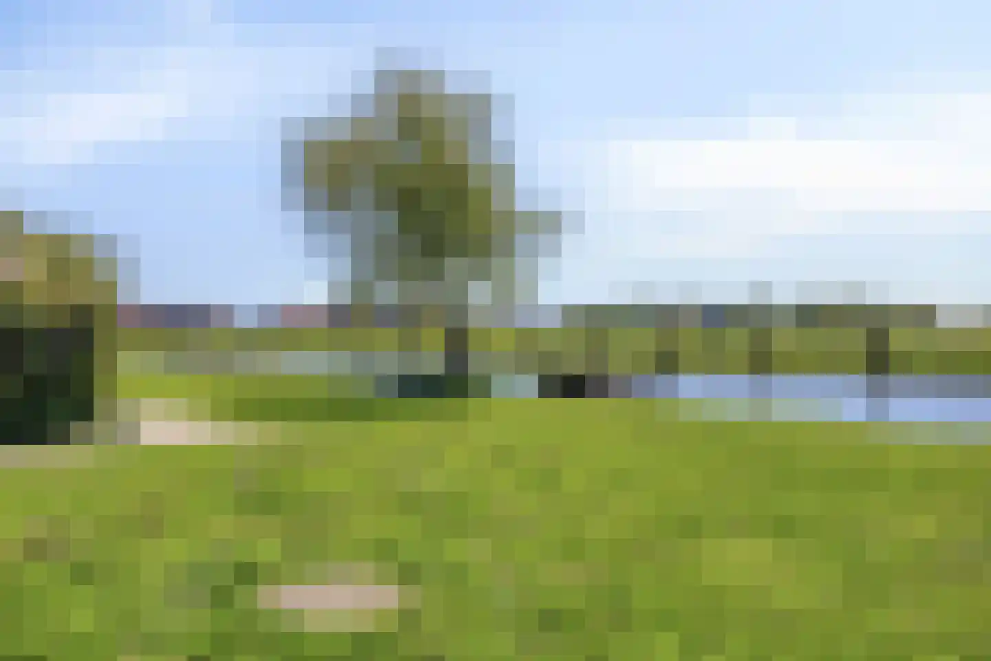 Driekoningenhof 26 De Rijp thumbnail 65