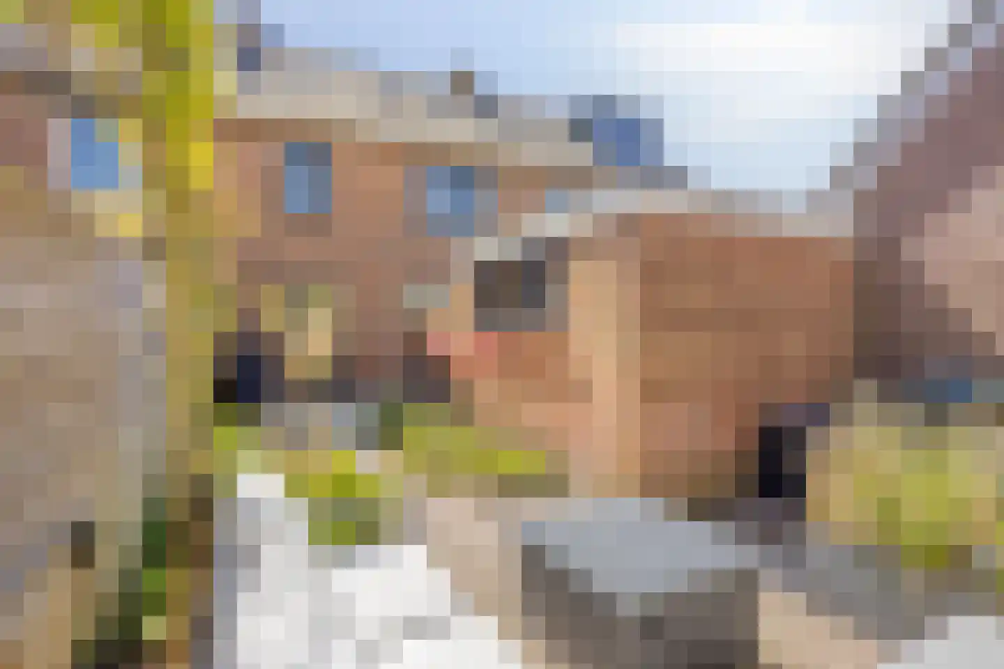 Driekoningenhof 26 De Rijp thumbnail 66