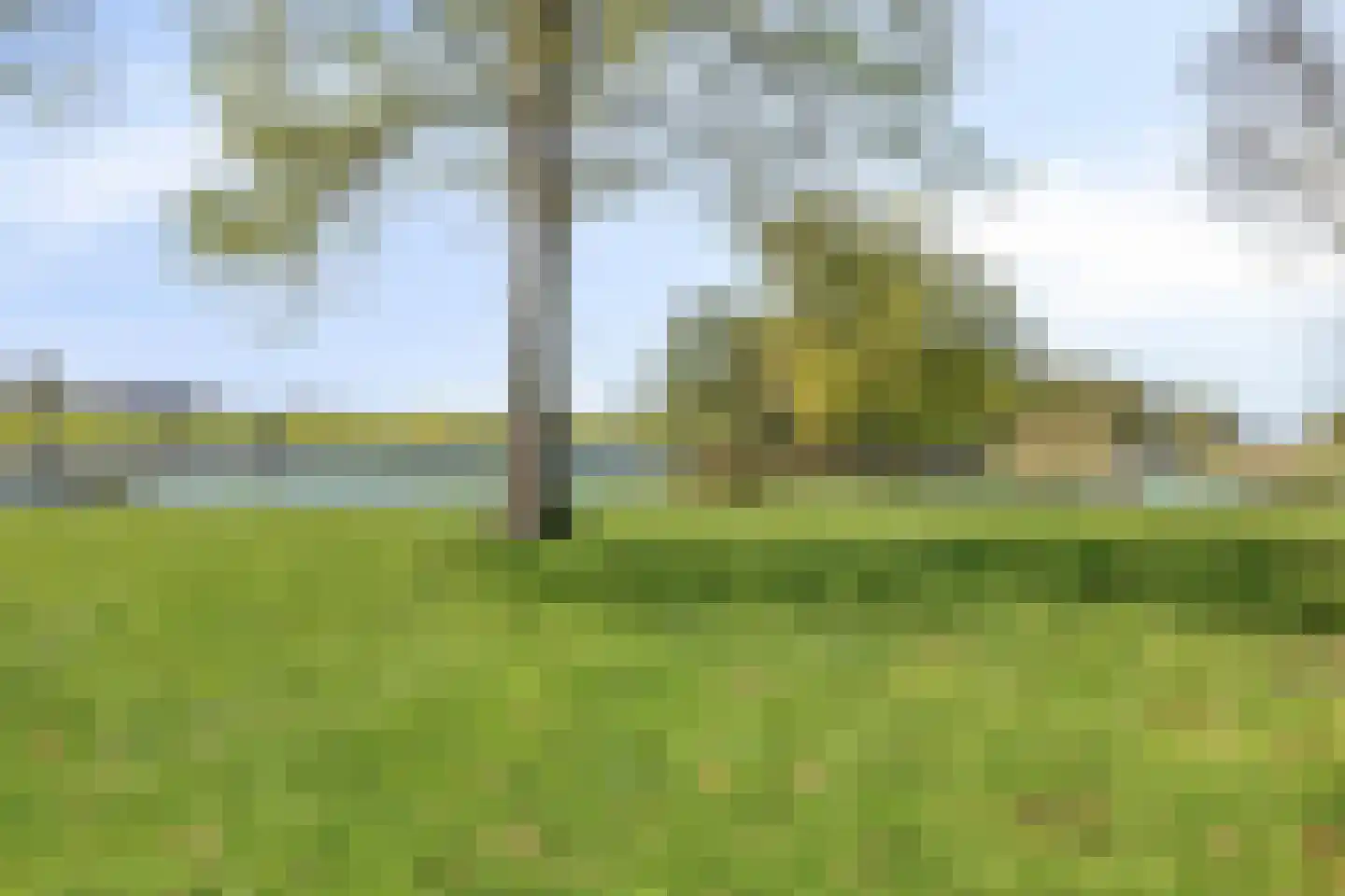Driekoningenhof 26 De Rijp thumbnail 78