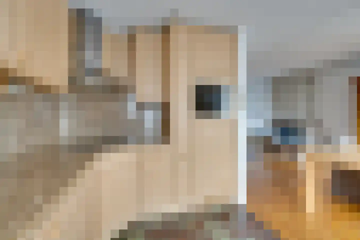 Driekoningenhof 68 De Rijp thumbnail 17