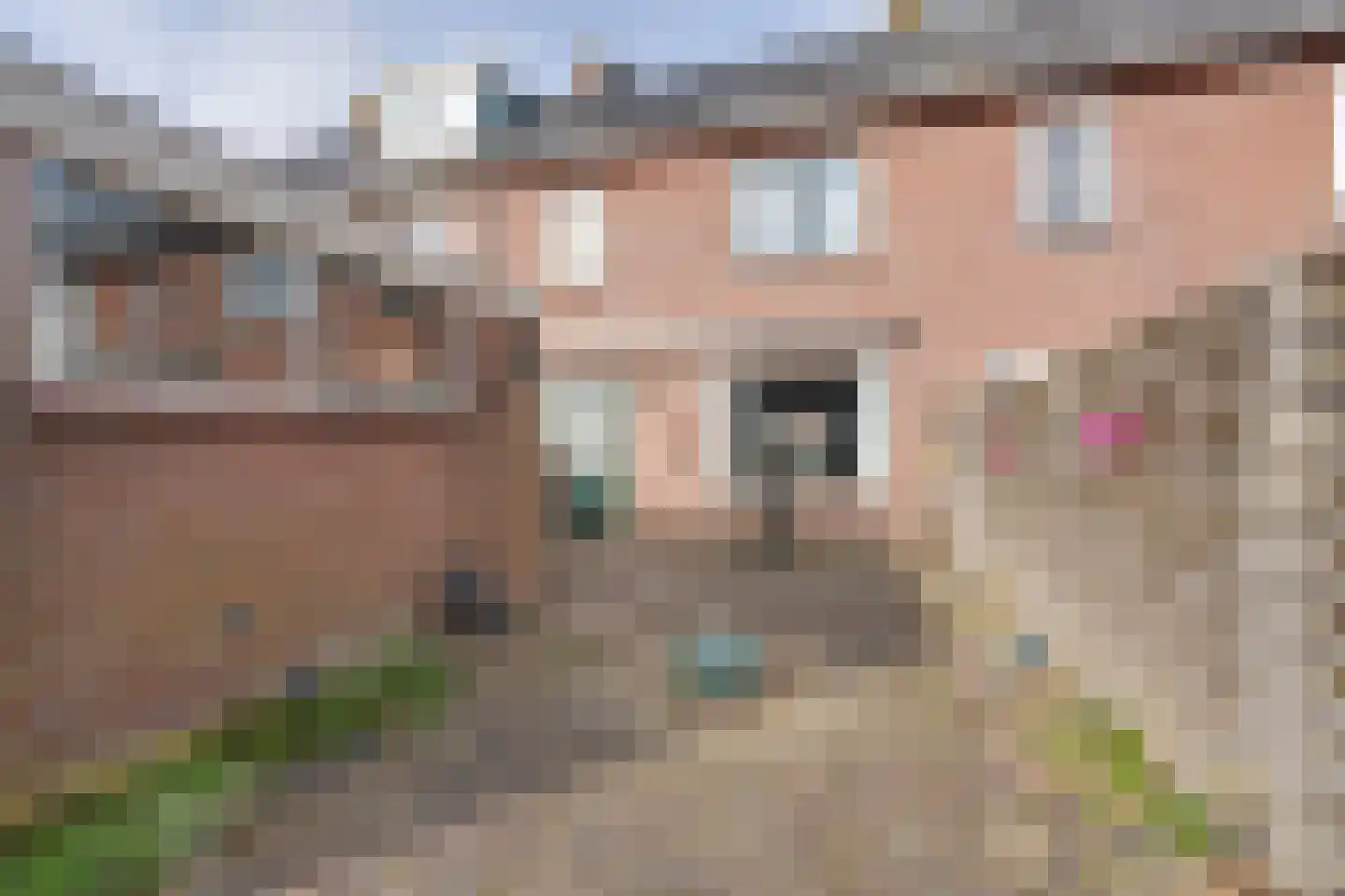 Driekoningenhof 68 De Rijp thumbnail 23