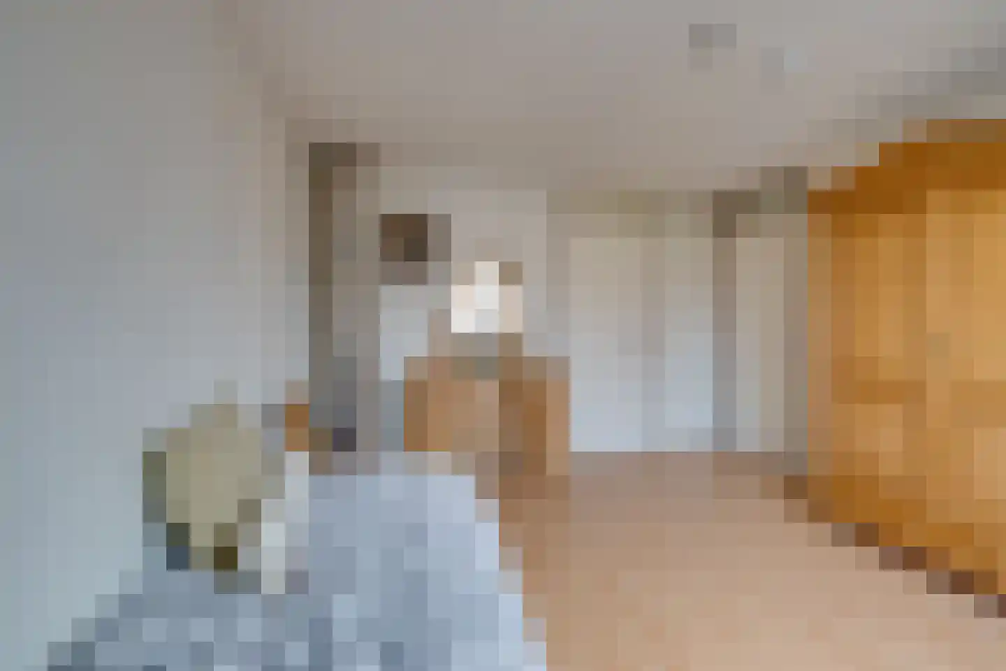 Driekoningenhof 68 De Rijp thumbnail 28