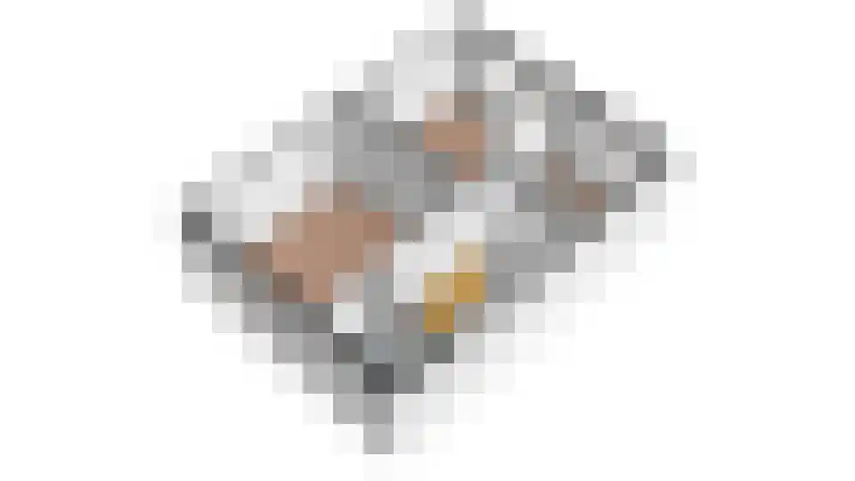 Driekoningenhof 68 De Rijp thumbnail 48