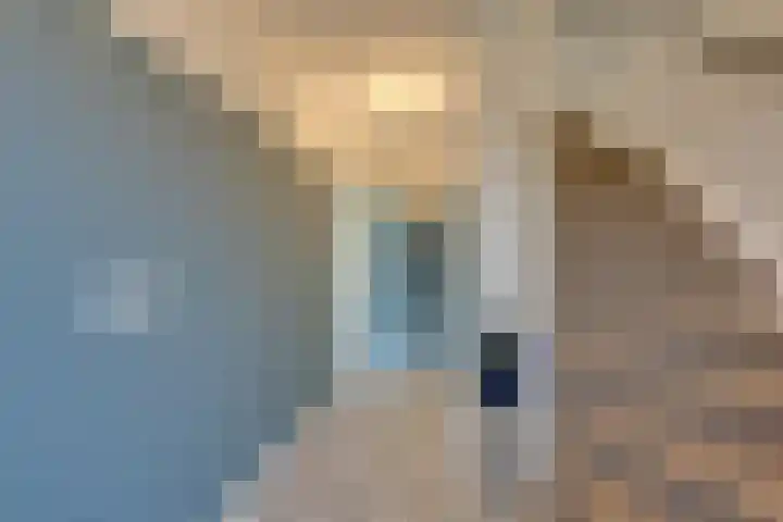 Driekoningenhof 81 De Rijp thumbnail 10