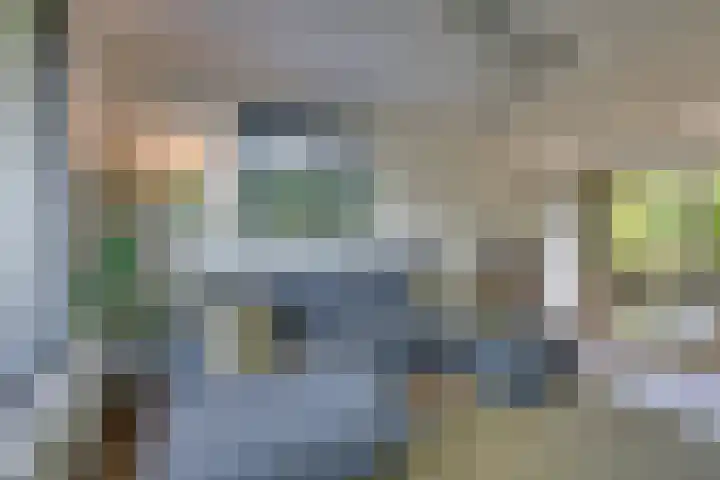 Driekoningenhof 81 De Rijp thumbnail 13