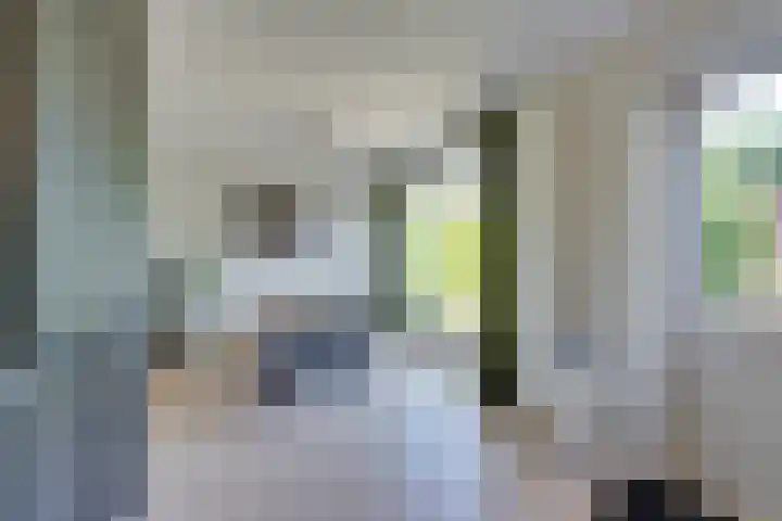 Driekoningenhof 81 De Rijp thumbnail 21