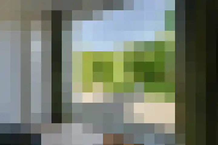 Driekoningenhof 81 De Rijp thumbnail 22