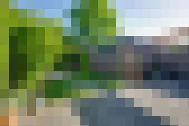Driekoningenhof 81 De Rijp thumbnail 24