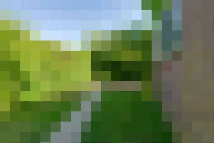 Driekoningenhof 81 De Rijp thumbnail 25
