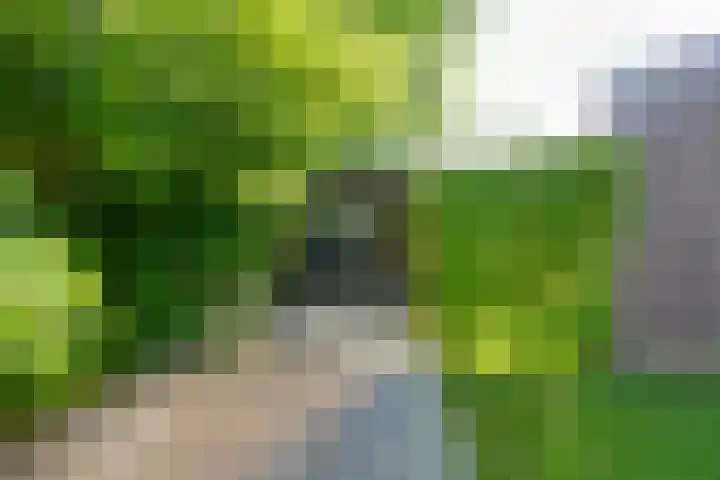 Driekoningenhof 81 De Rijp thumbnail 26