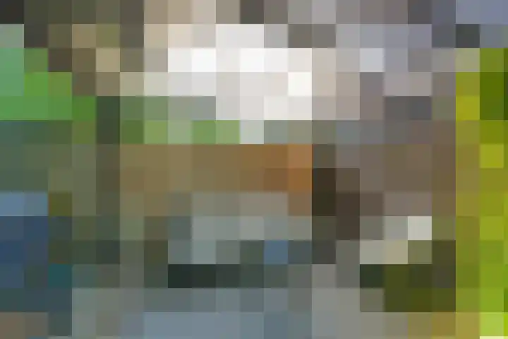 Driekoningenhof 81 De Rijp thumbnail 27