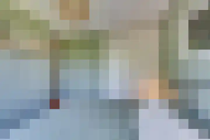 Driekoningenhof 81 De Rijp thumbnail 32