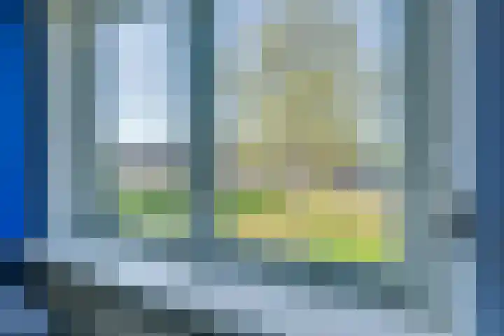 Driekoningenhof 81 De Rijp thumbnail 36
