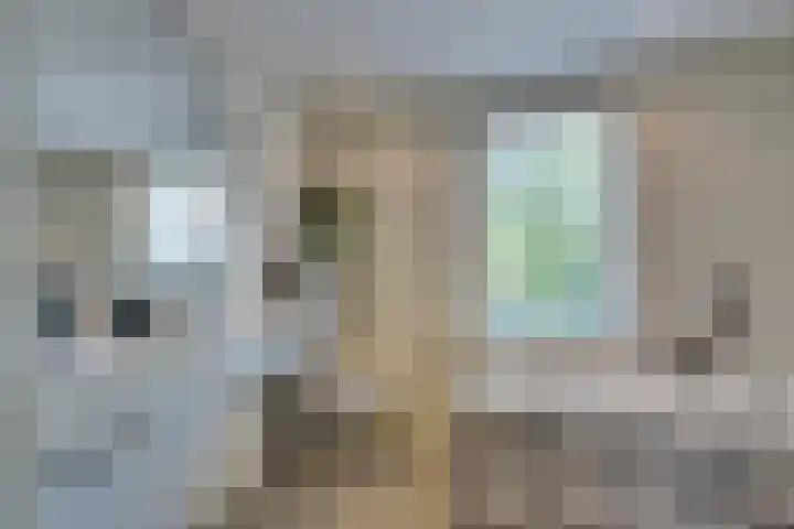 Driekoningenhof 81 De Rijp thumbnail 38