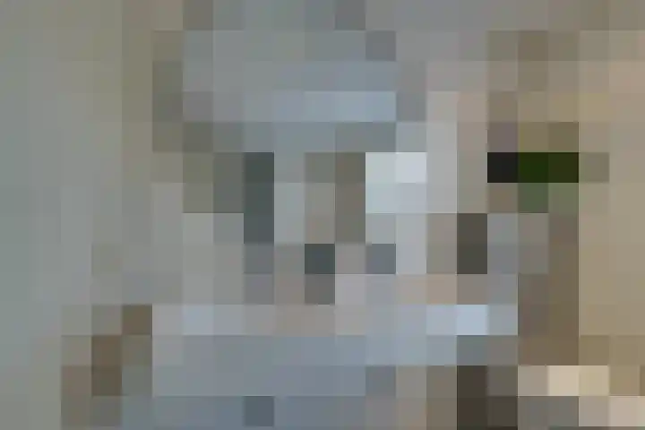 Driekoningenhof 81 De Rijp thumbnail 39