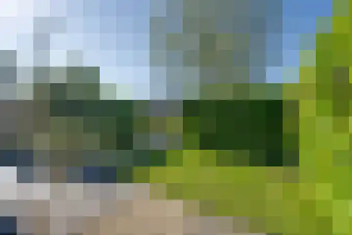 Driekoningenhof 81 De Rijp thumbnail 4