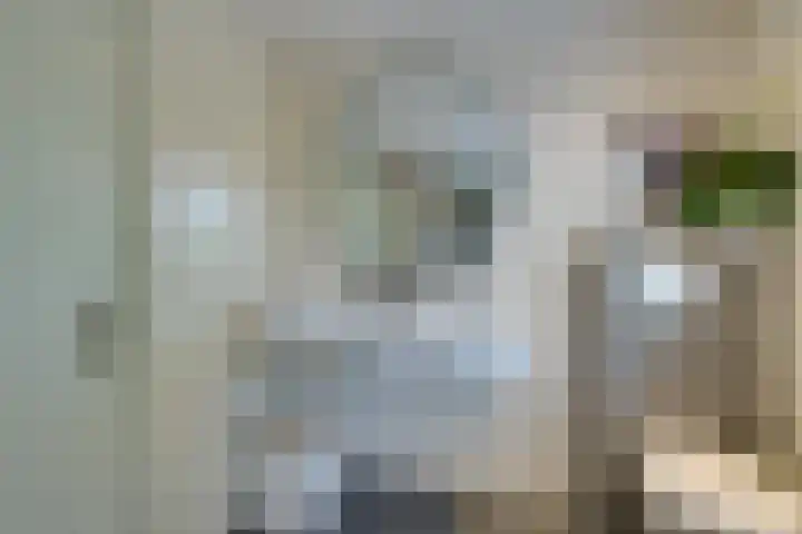 Driekoningenhof 81 De Rijp thumbnail 40