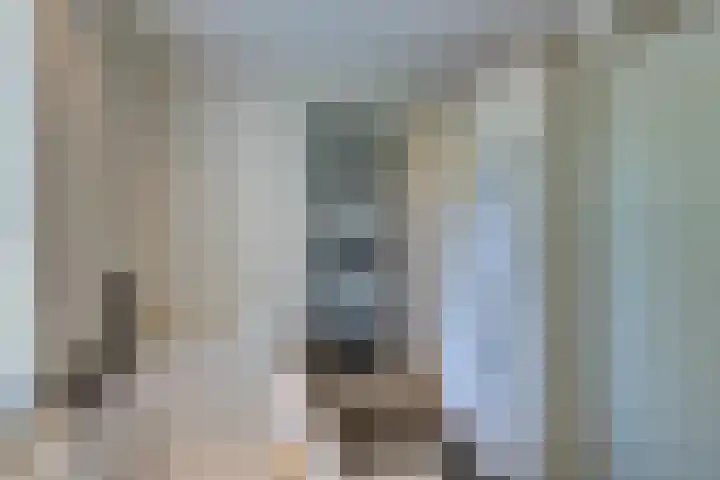 Driekoningenhof 81 De Rijp thumbnail 41