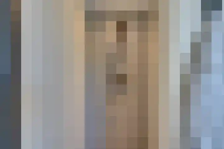 Driekoningenhof 81 De Rijp thumbnail 42