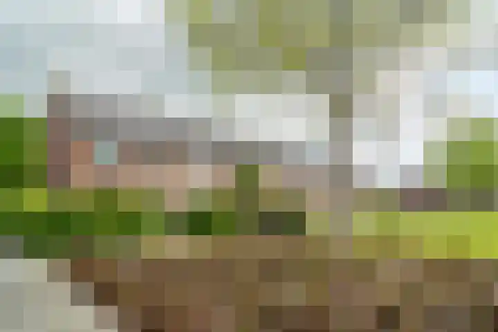Driekoningenhof 81 De Rijp thumbnail 5